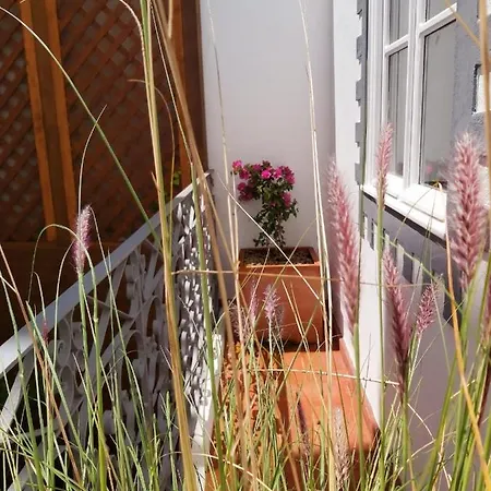 Casa Lara By Hnm Tavira