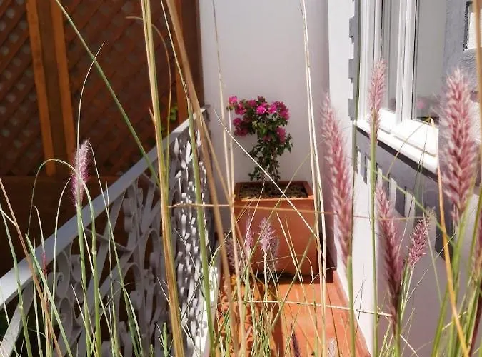 Casa Lara By Hnm Тавира